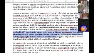 A pránájáma és az idegrendszeri hatások összefüggései és a hétköznapi élet - Trad Prán  1. csop 2023.06.20